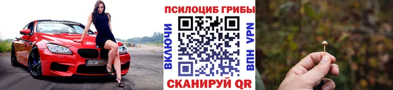 Псилоцибиновые грибы MAGIC MUSHROOMS  Раменское 